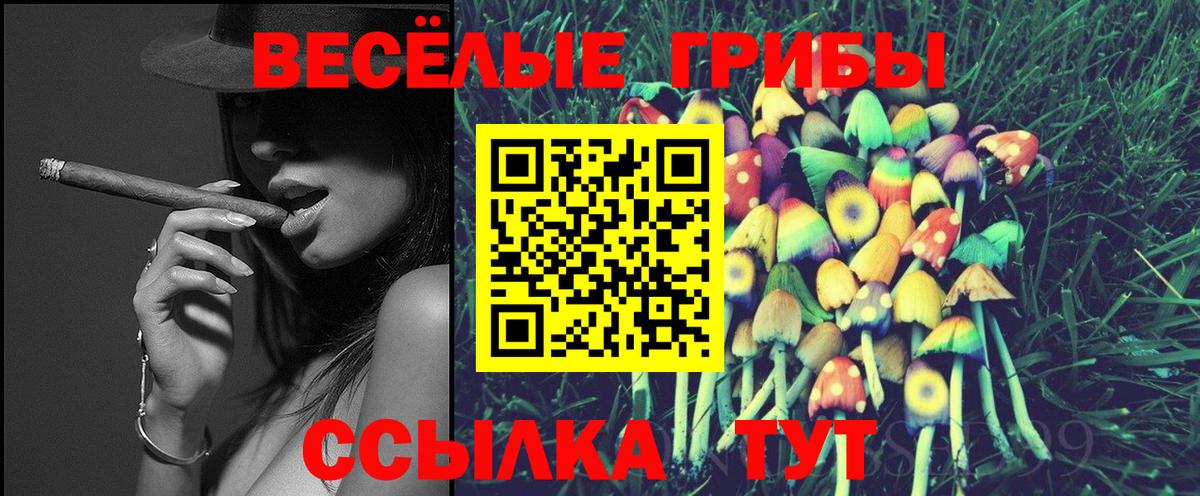 Псилоцибиновые грибы Psilocybe  Вход с VPN  где найти   Псилоцибиновые грибы MAGIC MUSHROOMS  Гурьевск 