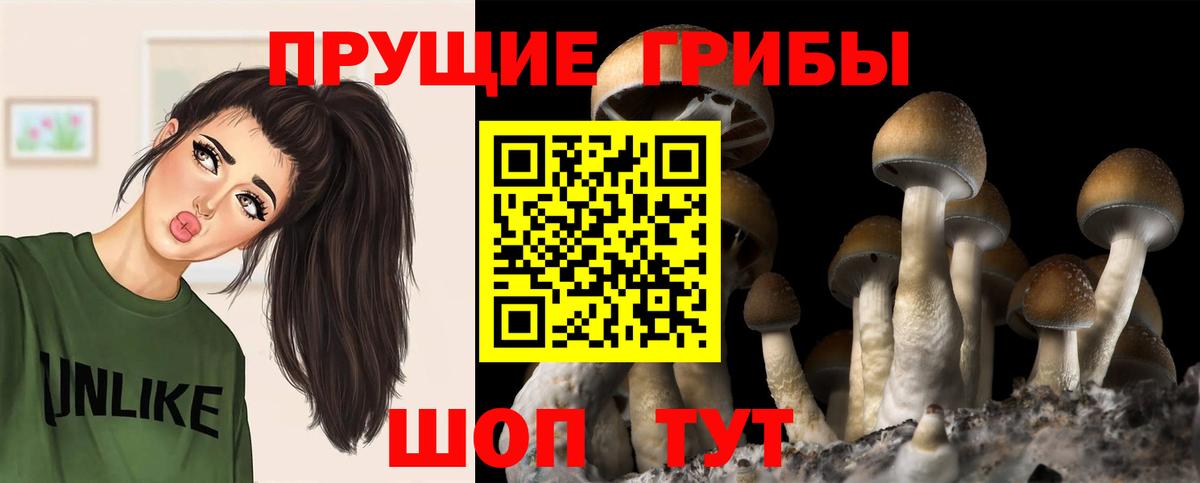 Псилоцибиновые грибы MAGIC MUSHROOMS Гурьевск